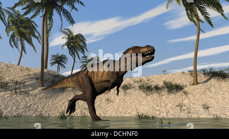 Tyrannosaurus Rex hunting in shallow water. Stock Photo