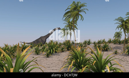 Large Brachiosaurus roaming a prehistoric environment. Stock Photo