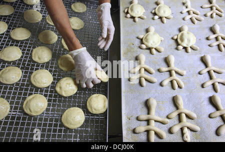 Kaufbeuren, Germany. 19th Aug, 2013. Baker Gudrun Koneberg prepares turtle-shaped lye rolls in a bakery in Irsee near Kaufbeuren, Germany, 19 August 2013. After an eight year old boy was seriously injured after allegedly being bitten by alligator snapping turtle Lotti, there is a great demand for the turtle pastries. Photo: KARL-JOSEF HILDENBRAND/dpa/Alamy Live News Stock Photo