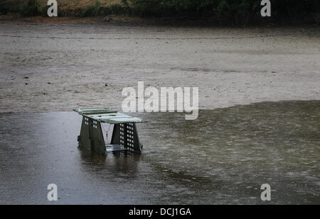 Kaufbeuren, Germany. 19th Aug, 2013. A live trap is empty at the drained Oggenrieder Weiher in Irsee near Kaufbeuren, Germany, 19 August 2013. It is being used to try to catch an alligator snapping turtle after an eight year old boy was seriously injured after a bite on his foot. Photo: KARL-JOSEF HILDENBRAND/dpa/Alamy Live News Stock Photo