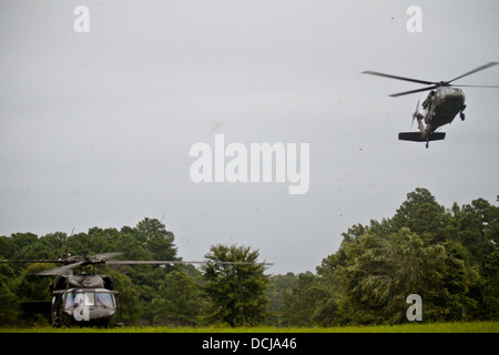 Two U.S. Army UH-60 Black Hawk helicopters from the 1-150 Assault Helicopter Battalion, New Jersey Army National Guard, transport soldiers and airmen during an air insertion exercise at Fort Pickett, Va., on Aug 17 Stock Photo