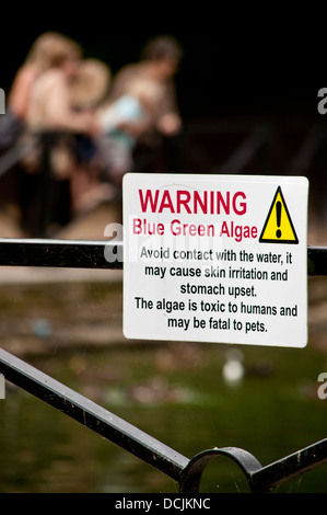 Blue green algae warning sign at Virginia Water, Windsor Great Park ...