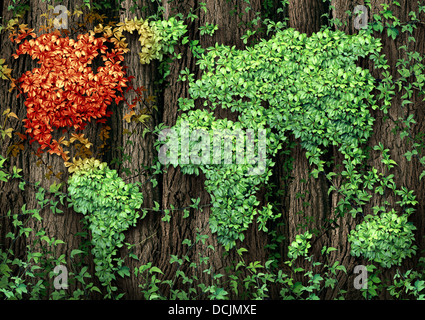 North America growth crisis concept as a forest of tall trees with a green leaf vine growing in the shape of a global world map Stock Photo