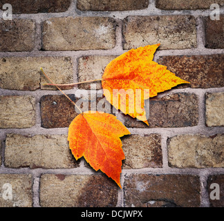 Autumn Background With A Brick Wall And Leaves Stock Photo