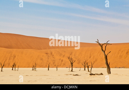 Dead trees in the clay pan of Deadvlei in Namibia Stock Photo