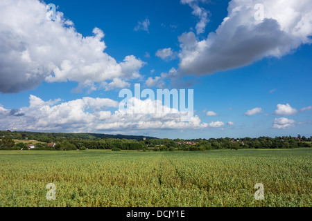 Kent Countryside North Downs Charing Rural Scene Stock Photo