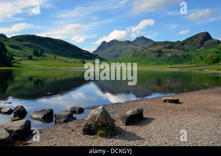The Langdale Pikes seen across Blea Tarn in summer early evening light, Lake District National Park, Cumbria, England. Stock Photo