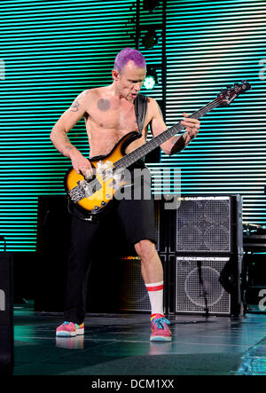 Flea,  of American rockband Red Hot Chili Peppers performing at the Ahoy Stadium. Rotterdam, The Netherlands - 16.10.11 Stock Photo