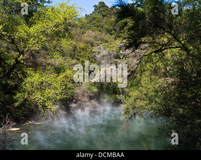 dh Tokaanu thermal walk TOKAANU NEW ZEALAND Recreation Reserve thermal pool steaming hot mineral pools springs Stock Photo