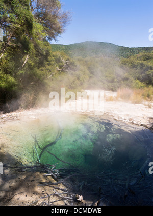 dh Tokaanu thermal walk TOKAANU NEW ZEALAND Recreation Reserve thermal pool steaming hot mineral pools spring water springs geothermal Stock Photo