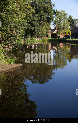 Village of Coddington, England. Picturesque summer view of Coddington village pond. Stock Photo