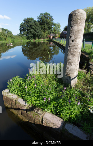 Village of Coddington, England. Picturesque summer view of Coddington village pond. Stock Photo