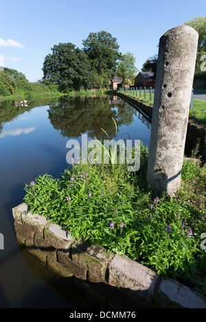 Village of Coddington, England. Picturesque summer view of Coddington village pond. Stock Photo