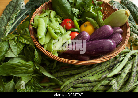 A rich selection of fresh vegetables from the garden. Stock Photo