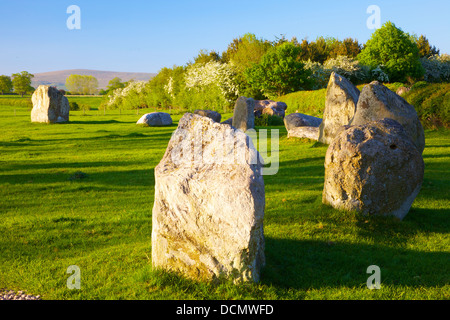 Long Meg and her Daughters Prehistoric Neolithic megalithic standing stone circle near Penrith Cumbria England UK Stock Photo