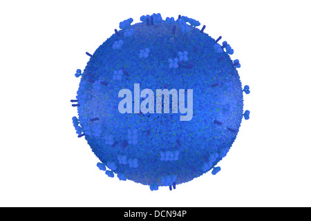 scientific model of the influenza virus in blue Stock Photo