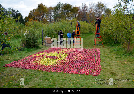 A 'juicy' tribute to Steve Jobs  Montreal visual artist Olivier Lefebvre has created a stunning tribute to Apple co-founder Steve Jobs using several boxes of real apples. Olivier keyed off of a Time Magazine cover of Steve Jobs for inspiration on his 22' x 15' piece, which took more than 3,500 apples to complete. His piece was executed for a land art contest held in St-Hilaire, Que Stock Photo