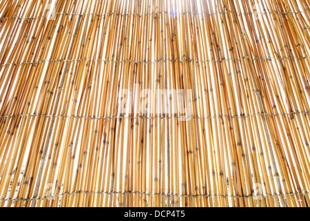 bamboo blind texture background Stock Photo