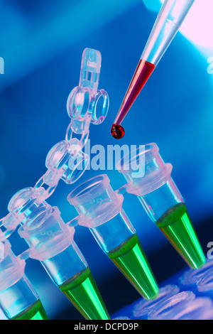Loading of PCR samples in numbered plastic tubes Stock Photo - Alamy