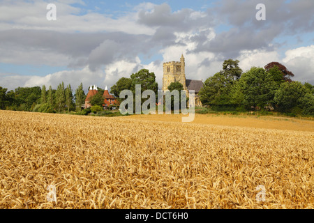 Harvest time in Kent UK. Horsmonden Church and Oast Houses, Kent, England, UK in Wealden Countryside Stock Photo