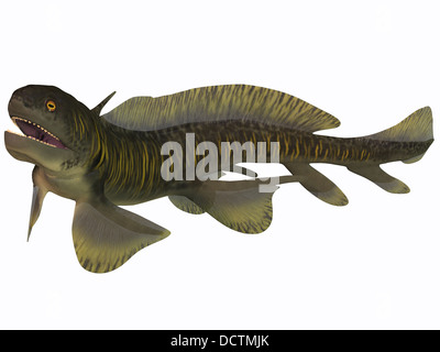 Orthacanthus was a Devonian freshwater shark that thrived in Carboniferous swamps and bayous in Europe and North America. Stock Photo