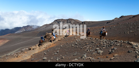Horseback riders on the Sliding Sands Trail at Haleakala National Park Stock Photo