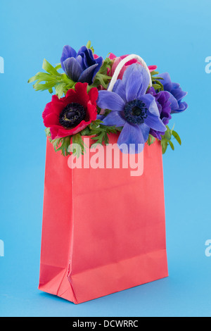 Colorful bouquet Anemones Stock Photo