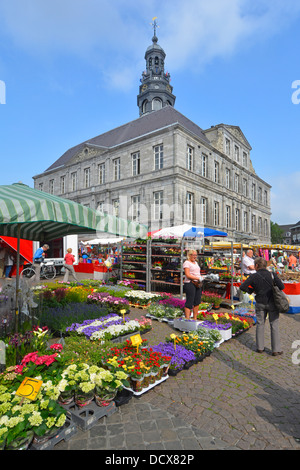 Maastricht City market square overlooked by historical Town Hall flower sellers at work & shoppers viewing flowers for sale sunny Limburg Netherlands Stock Photo