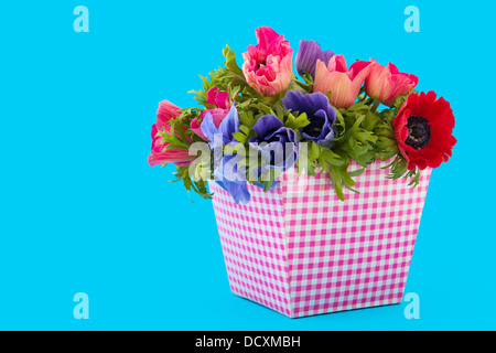 Colorful bouquet Anemones Stock Photo