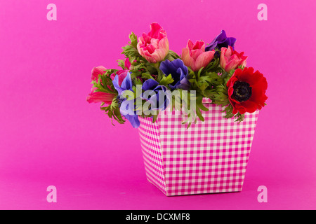 Colorful bouquet Anemones Stock Photo