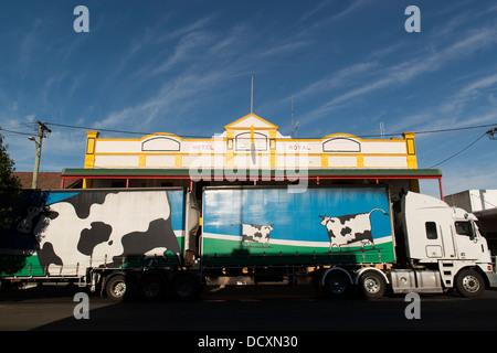 Roadtrain with pictures of cows on the side of its trailers passes the Hotel Royal on a sunny day. Stock Photo
