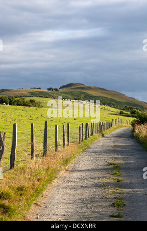 Evening light on Corndon Hill, near Churchstoke, Powys, Mid Wales, UK Stock Photo