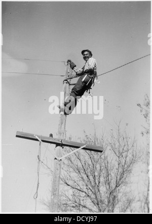 A worker is seen on a telephone pole, repairing or installing telephone lines, illustrating the essential work of utility workers in maintaining communication infrastructure. Stock Photo