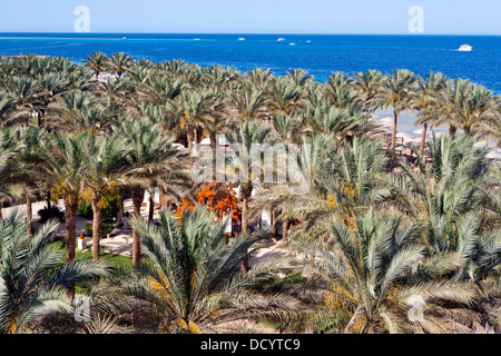 View over the Makadi Palace hotel grounds to the Red Sea in Hurghada Egypt Stock Photo