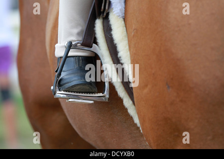 A close-up image of a horse with the rider's boot and stirrup. Stock Photo
