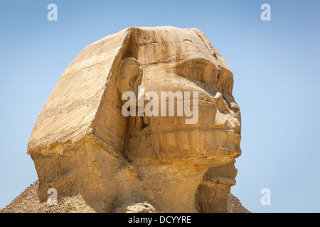 Close up of the head of the Great Sphinx, Giza, Cairo, Egypt Stock Photo