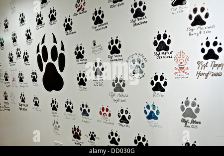 Paw prints of US Air Force military working dogs assigned to the 386th Expeditionary Security Forces Squadron painted on the wall of the flight office July 2, 2013 at Ali Al Salem Air Base, Kuwait. Stock Photo