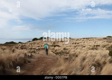 Hiker on top of The Nut at Stanley on the north-west coast of Tasmania Stock Photo