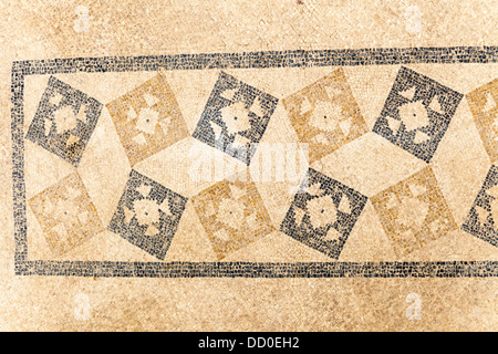 Patterned mosaic on the floor of one of the terrace houses, Ephesus, Turkey Stock Photo