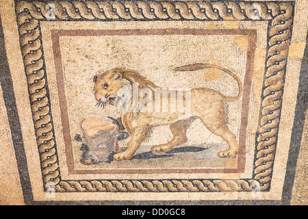 Mosaic of a lion and a bull’s head on the floor of one of the terrace houses, Ephesus, Turkey Stock Photo