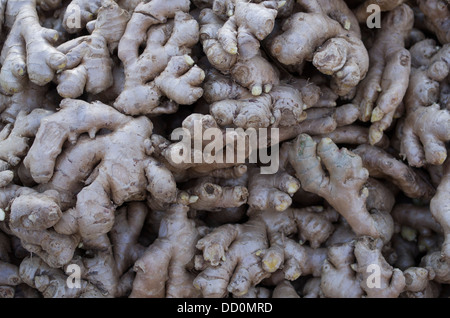 Ginger roots on sale at Sardar Market - Jodhpur, Rajashtan, India Stock Photo