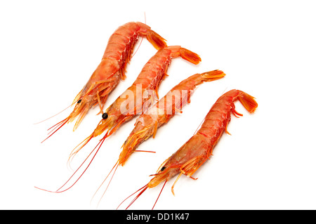 raw prawns on a white background Stock Photo