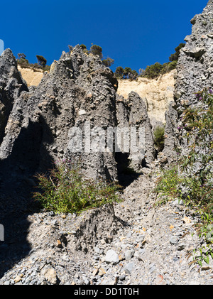 dh Putangirua Pinnacles WAIRARAPA NEW ZEALAND Geological rock formation earth pillars Aorangi Ranges valley geology erosion pillar Stock Photo