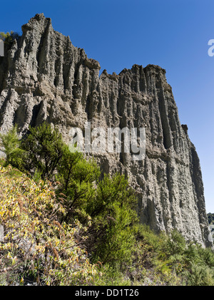 dh Putangirua Pinnacles WAIRARAPA NEW ZEALAND Geological rock formation earth pillars Aorangi Ranges valley cliffs Stock Photo