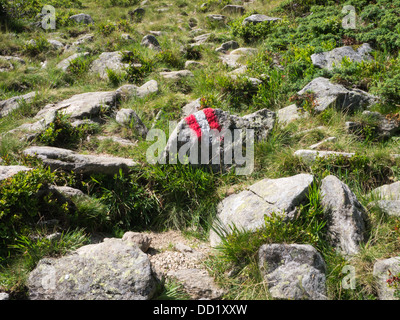A red and white painted rock marks out a hiking path in the mountains near Innsbruck, Austria Stock Photo