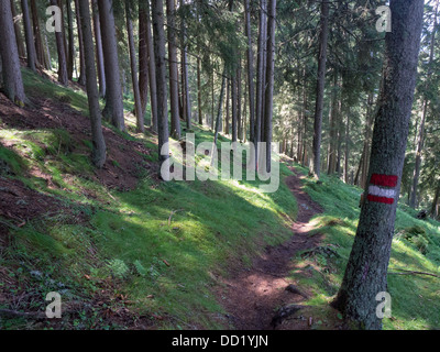 A marked mountain trail through the woods near Innbruck in Tyrol (Tirol) Austria Stock Photo