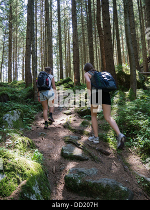 Two women hiking on a path in the woods in Tirol (Tyrol), Austria Stock Photo