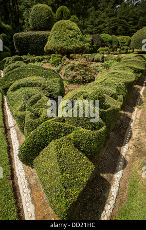 Pearl Fryar without any horticultural experience turned discarded plants into an amazing topiary wonderland in his former corn field in a tiny village in rural South Carolina. Stock Photo