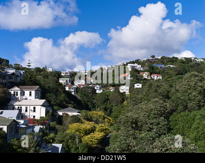 dh WELLINGTON NEW ZEALAND Hillside suburban residential houses Stock ...