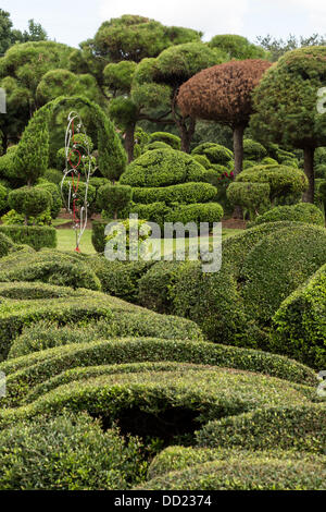 Pearl Fryar without any horticultural experience turned discarded plants into an amazing topiary wonderland in his former corn field in a tiny village in rural South Carolina. Stock Photo